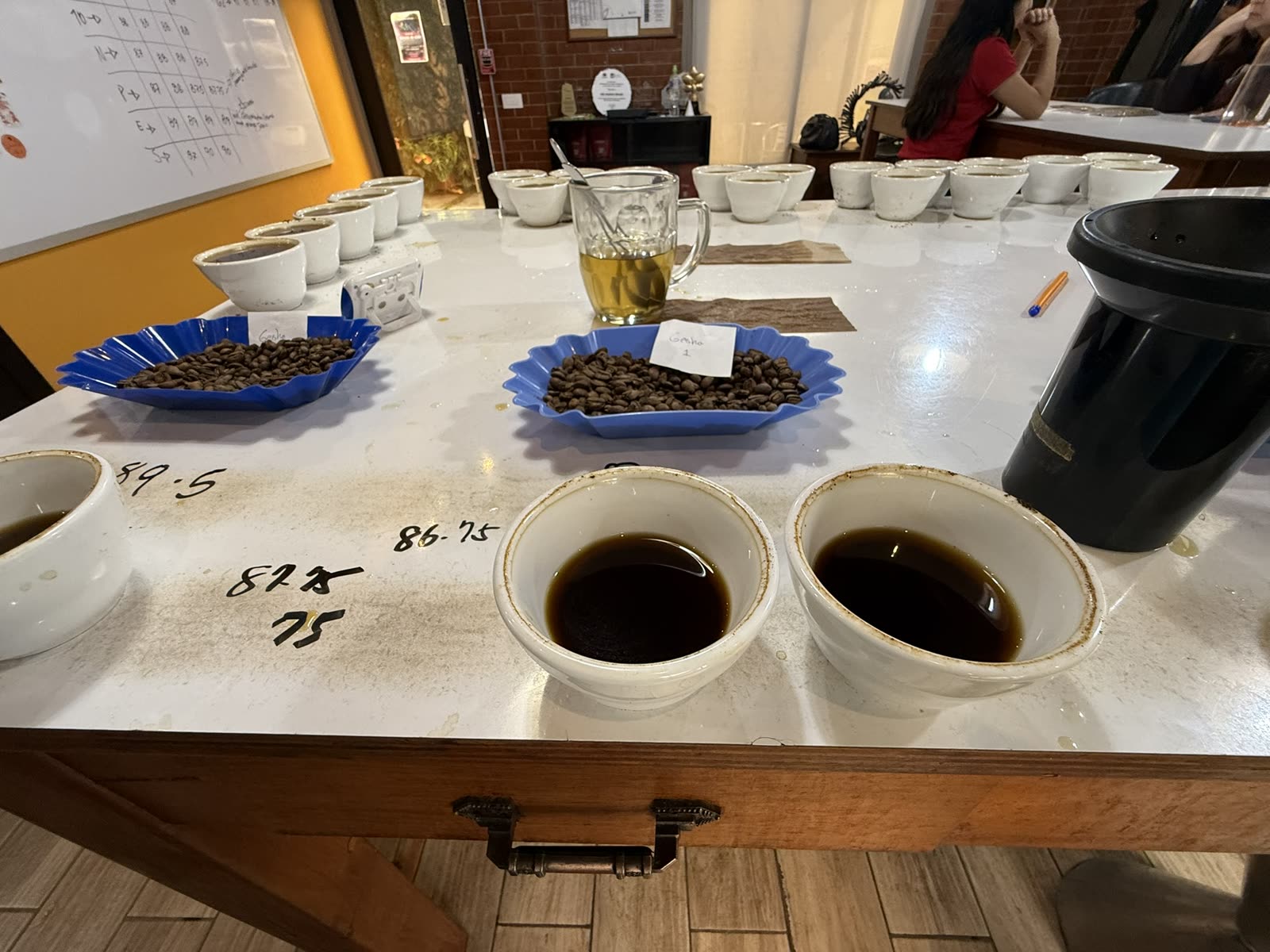 Coffee team cupping and evaluating coffees.